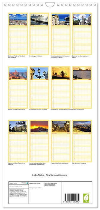 Licht-Blicke - Strahlendes Havanna (CALVENDO Familienplaner 2025)