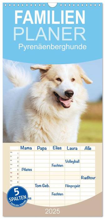 Pyrenäenberghunde (CALVENDO Familienplaner 2025)