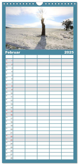 Apfelbaum und Streuobstwiesen (CALVENDO Familienplaner 2025)