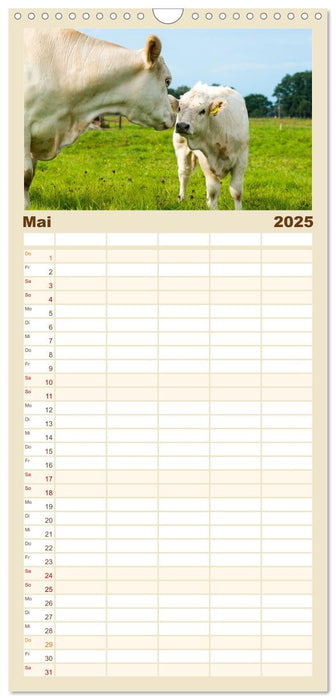 Geliebte Tiere auf dem Bauernhof (CALVENDO Familienplaner 2025)