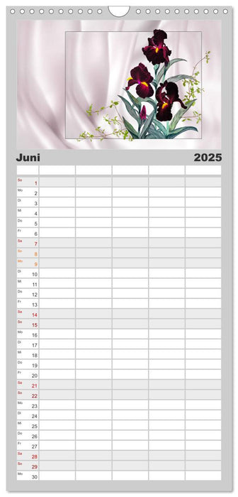 Irisblüten Zeichnungen (CALVENDO Familienplaner 2025)