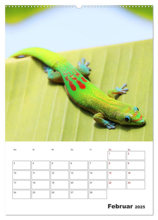 Hawaii - Reiseplaner (CALVENDO Wandkalender 2025)