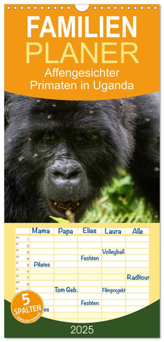 Affengesichter - Primaten in Uganda (CALVENDO Familienplaner 2025)