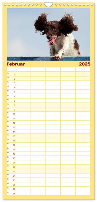 HUNDESPORT - Agility und Dog Frisbee (CALVENDO Familienplaner 2025)