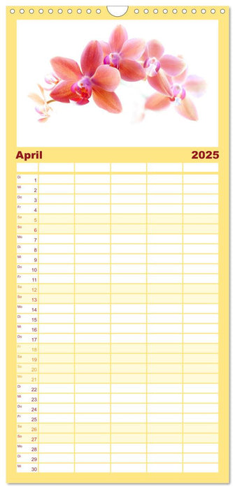 Orchideen florale Träume (CALVENDO Familienplaner 2025)