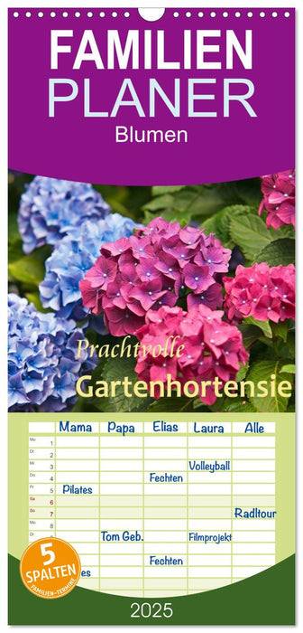 Prachtvolle Gartenhortensie (CALVENDO Familienplaner 2025)