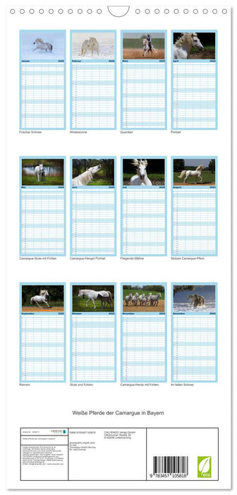 Weiße Pferde der Camargue in Bayern (CALVENDO Familienplaner 2025)