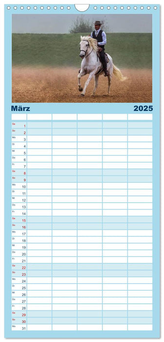 Weiße Pferde der Camargue in Bayern (CALVENDO Familienplaner 2025)
