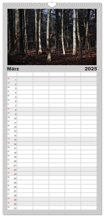 Mystische Wälder (CALVENDO Familienplaner 2025)