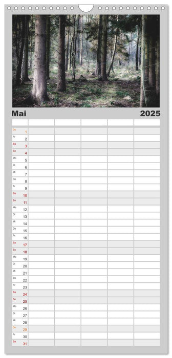 Mystische Wälder (CALVENDO Familienplaner 2025)