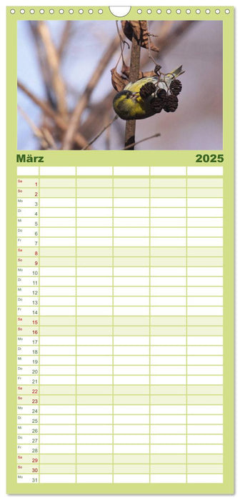 Die farbenfrohe Welt der Finken (CALVENDO Familienplaner 2025)