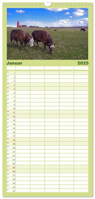 Jütlands Küste 2025 (CALVENDO Familienplaner 2025)