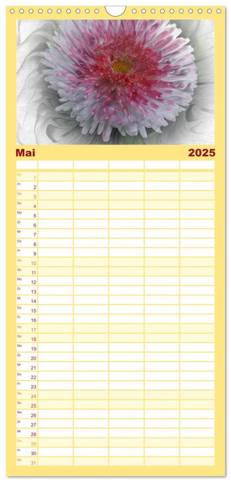 Blüten im Fraktal (CALVENDO Familienplaner 2025)