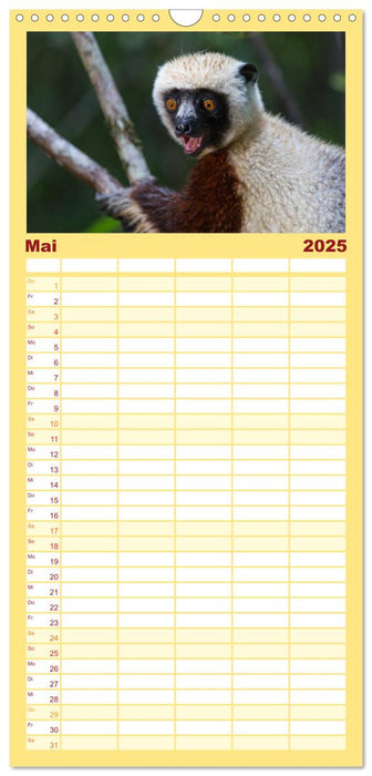 Madagaskar - Insel der Lemuren (CALVENDO Familienplaner 2025)
