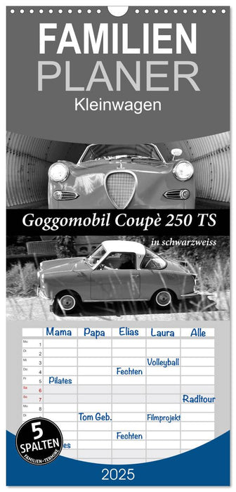 Goggomobil Coupè 250 TS in schwarzweiss (CALVENDO Familienplaner 2025)