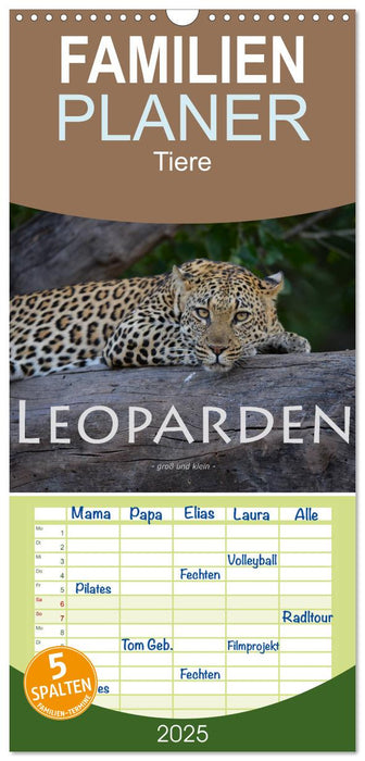 Leoparden - groß und klein (CALVENDO Familienplaner 2025)
