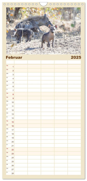 Hyänen - groß und klein (CALVENDO Familienplaner 2025)