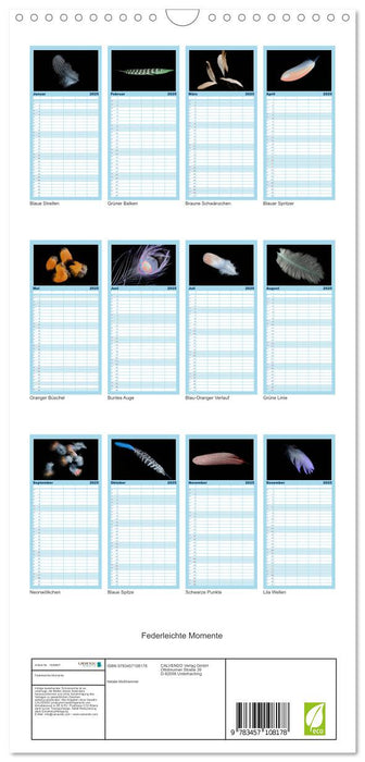 Federleichte Momente (CALVENDO Familienplaner 2025)