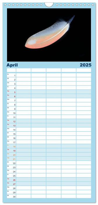 Federleichte Momente (CALVENDO Familienplaner 2025)