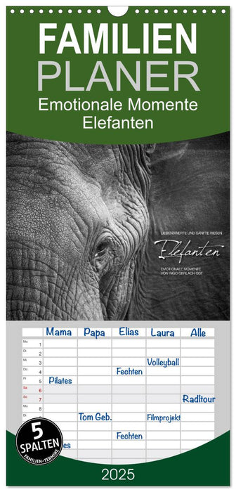 Emotionale Momente: Elefanten in black & white (CALVENDO Familienplaner 2025)