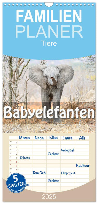 Babyelefanten (CALVENDO Familienplaner 2025)