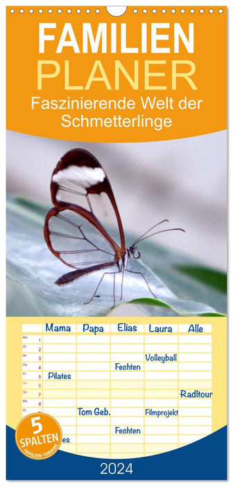 Faszinierende Welt der Schmetterlinge (CALVENDO Familienplaner 2025)