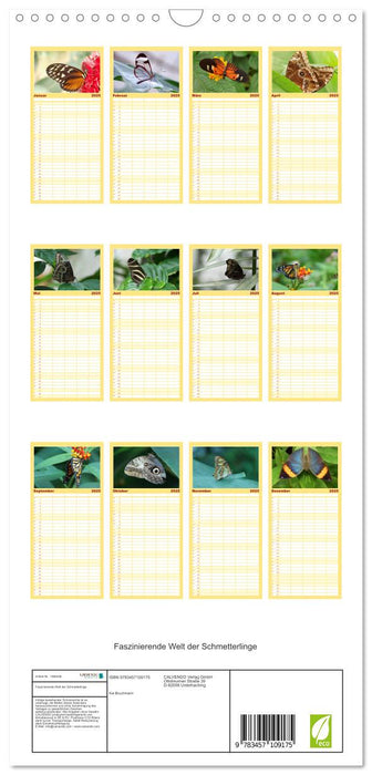 Faszinierende Welt der Schmetterlinge (CALVENDO Familienplaner 2025)