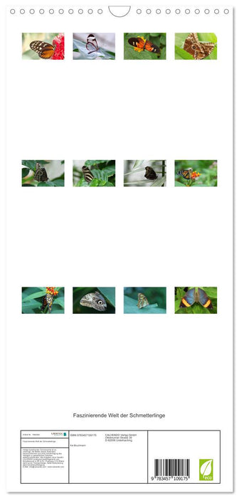Faszinierende Welt der Schmetterlinge (CALVENDO Familienplaner 2025)