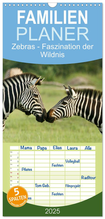Zebras - Faszination der Wildnis (CALVENDO Familienplaner 2025)