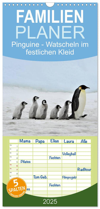 Pinguine - Watscheln im festlichen Kleid (CALVENDO Familienplaner 2025)
