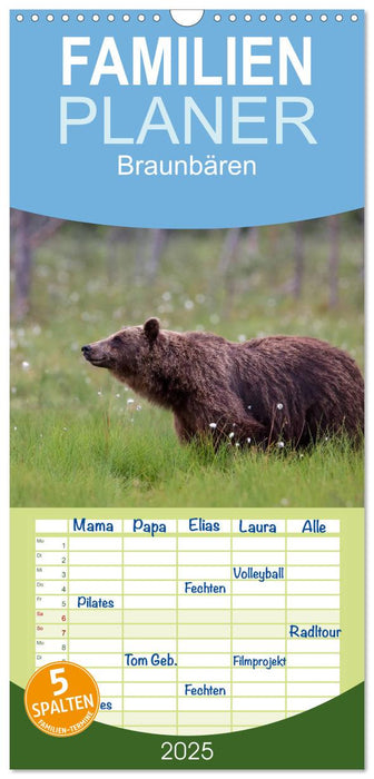 Braunbären - pelzige Riesen in Finnlands Wäldern (CALVENDO Familienplaner 2025)