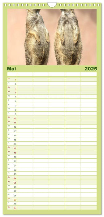 Erdmännchen (CALVENDO Familienplaner 2025)