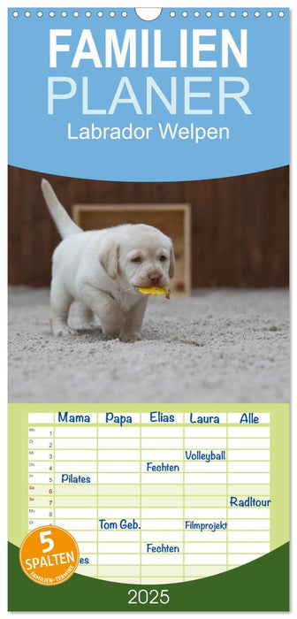 Labrador Welpen (CALVENDO Familienplaner 2025)