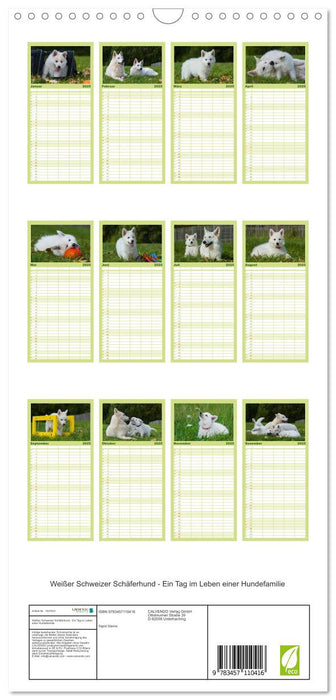 Weißer Schweizer Schäferhund - Ein Tag im Leben einer Hundefamilie (CALVENDO Familienplaner 2025)