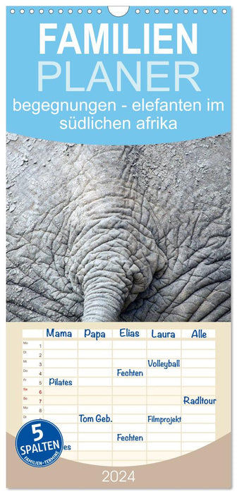 begegnungen - elefanten im südlichen afrika (CALVENDO Familienplaner 2025)