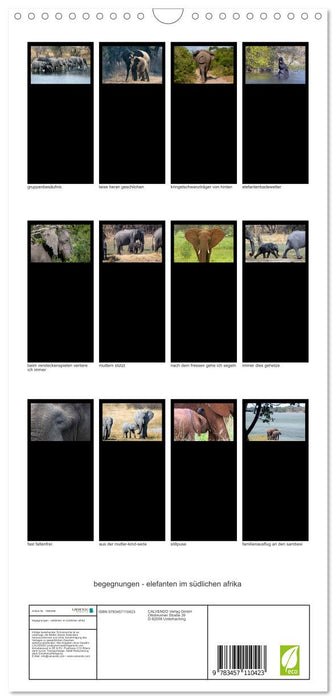 begegnungen - elefanten im südlichen afrika (CALVENDO Familienplaner 2025)