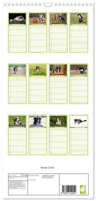 Border Collies (CALVENDO Familienplaner 2025)