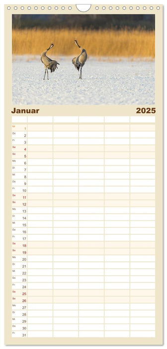 Mit Kranichen durch das Jahr (CALVENDO Familienplaner 2025)