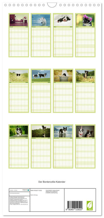 Der Bordercollie-Kalender (CALVENDO Familienplaner 2025)