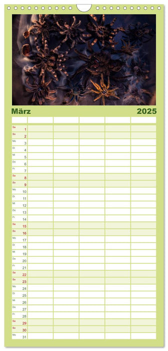 Mystische Vogelspinnen (CALVENDO Familienplaner 2025)