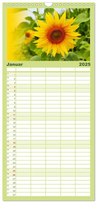 Sonnenblumen - die Blumen der Lebensfreude (CALVENDO Familienplaner 2025)