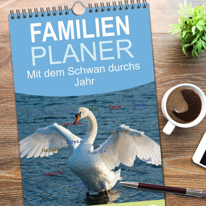 Mit dem Schwan durchs Jahr (CALVENDO Familienplaner 2025)