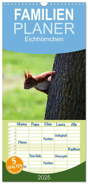 Eichhörnchen (CALVENDO Familienplaner 2025)