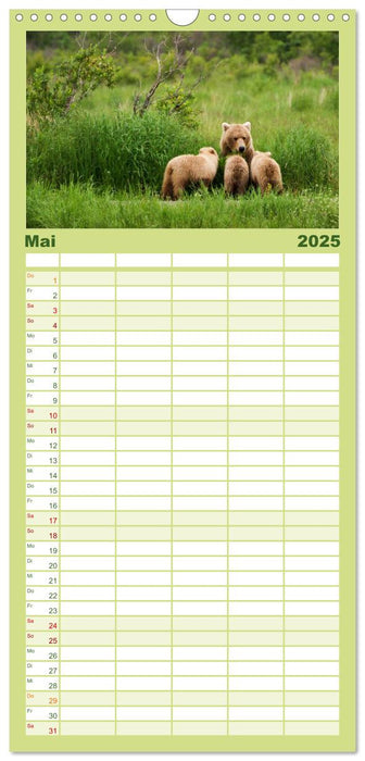 Grizzlys - Der Kalender (CALVENDO Familienplaner 2025)
