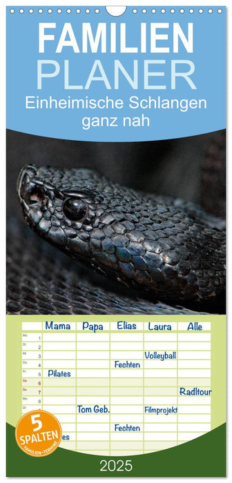 Einheimische Schlangen ganz nah (CALVENDO Familienplaner 2025)