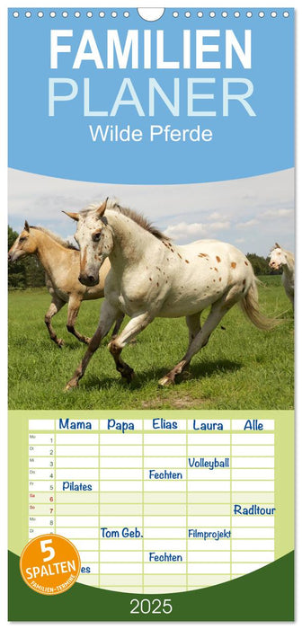 Wilde Pferde (CALVENDO Familienplaner 2025)