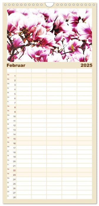 Momente in Rosa (CALVENDO Familienplaner 2025)