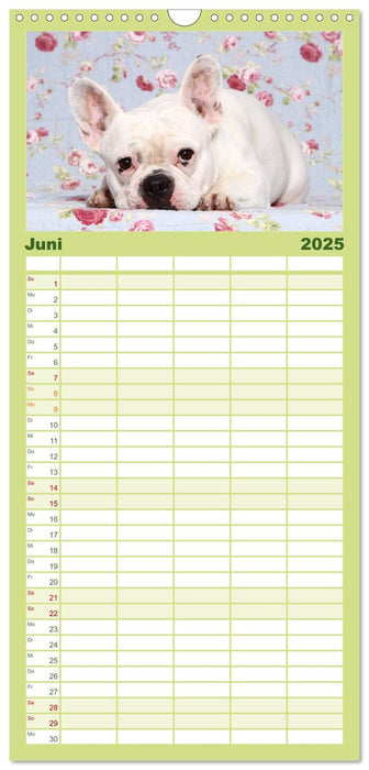 Der Bully - Kalender Familienplaner hoch (CALVENDO Familienplaner 2025)