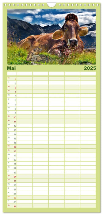 Lustig und verrückt - der ganz andere Tierkalender (CALVENDO Familienplaner 2025)