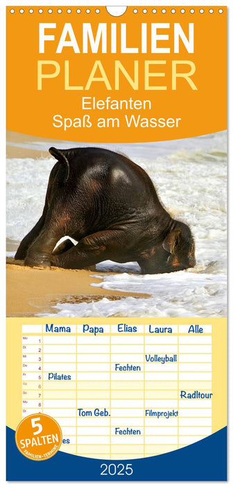 Elefanten. Spaß am Wasser (CALVENDO Familienplaner 2025)
